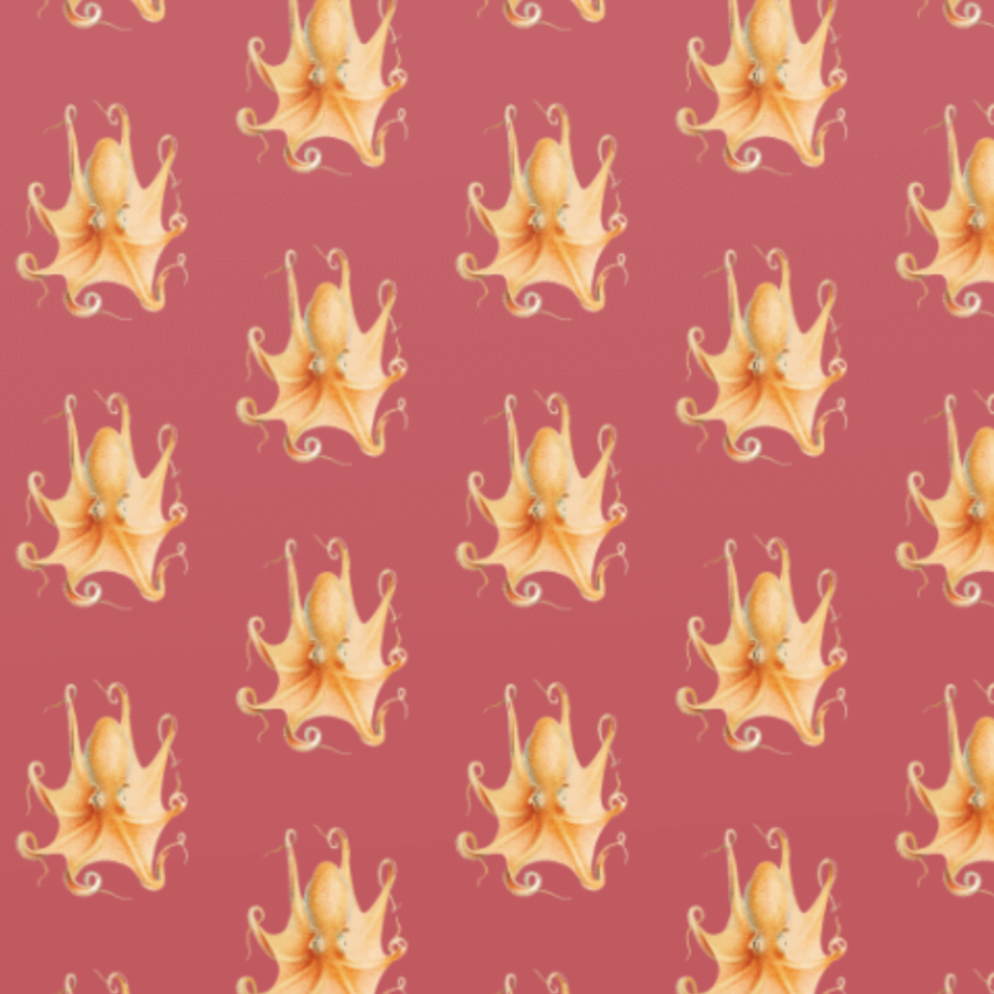 Eledon Cirrhosa Print Wrapping Paper