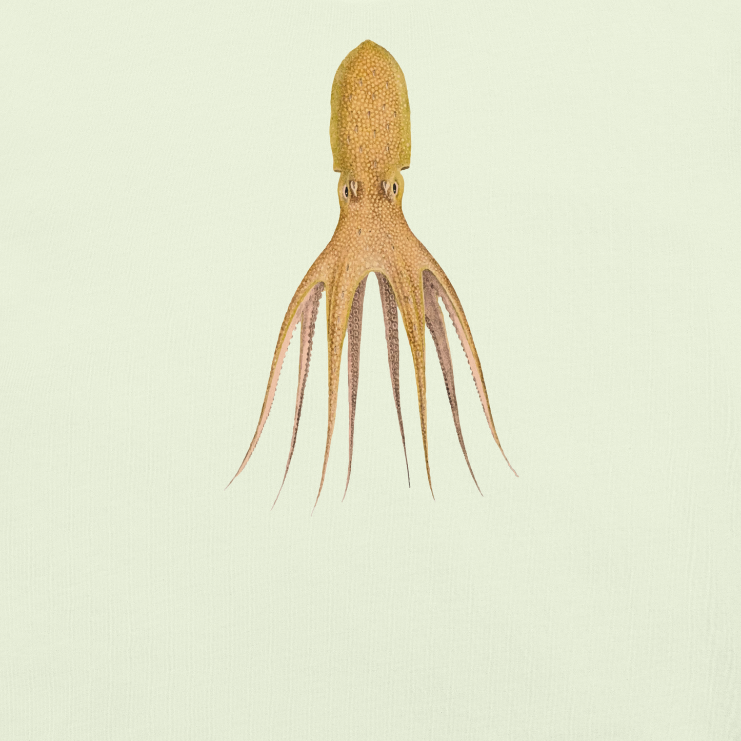 Octopus Cocco Tee