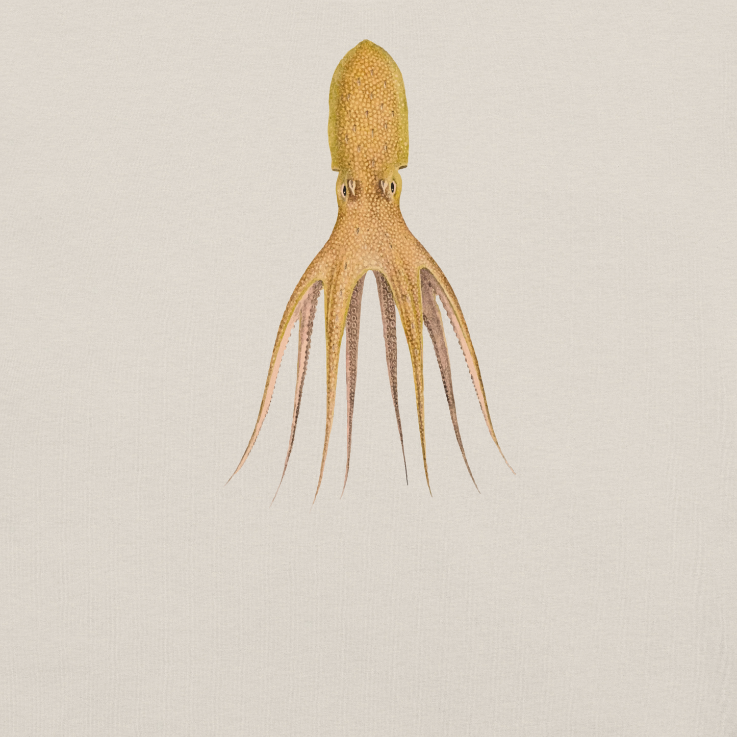 Octopus Cocco Tee