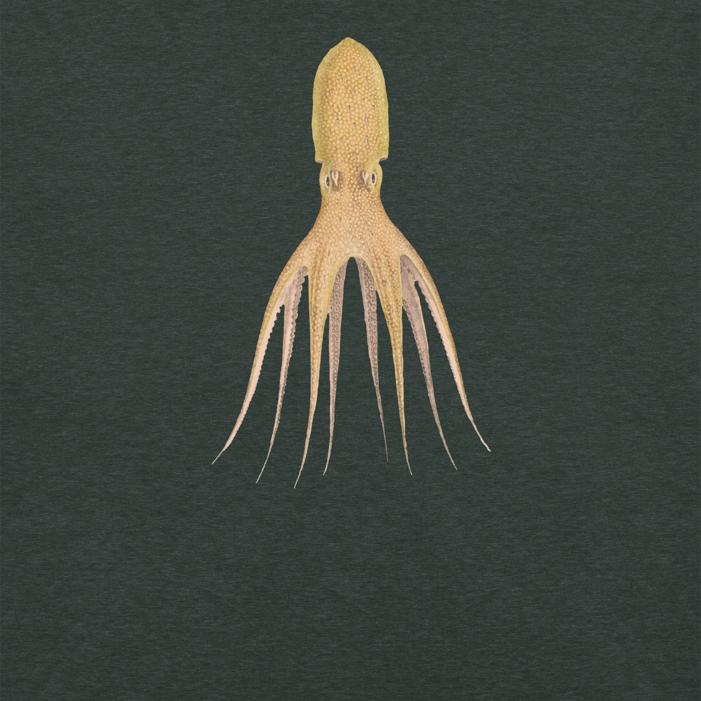 Octopus Cocco Tee