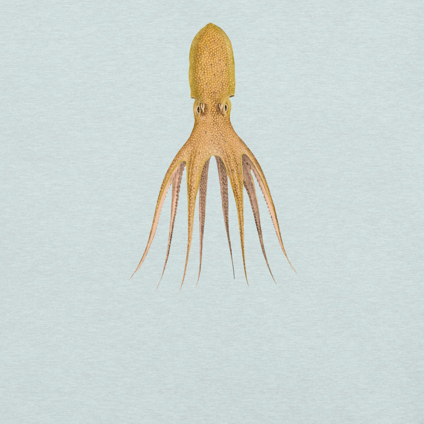 Octopus Cocco Tee