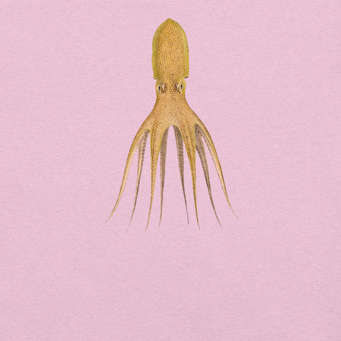 Octopus Cocco Tee