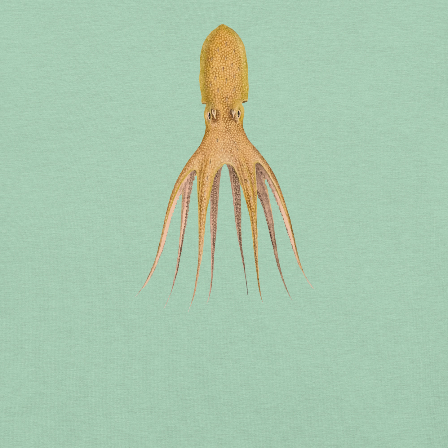 Octopus Cocco Tee