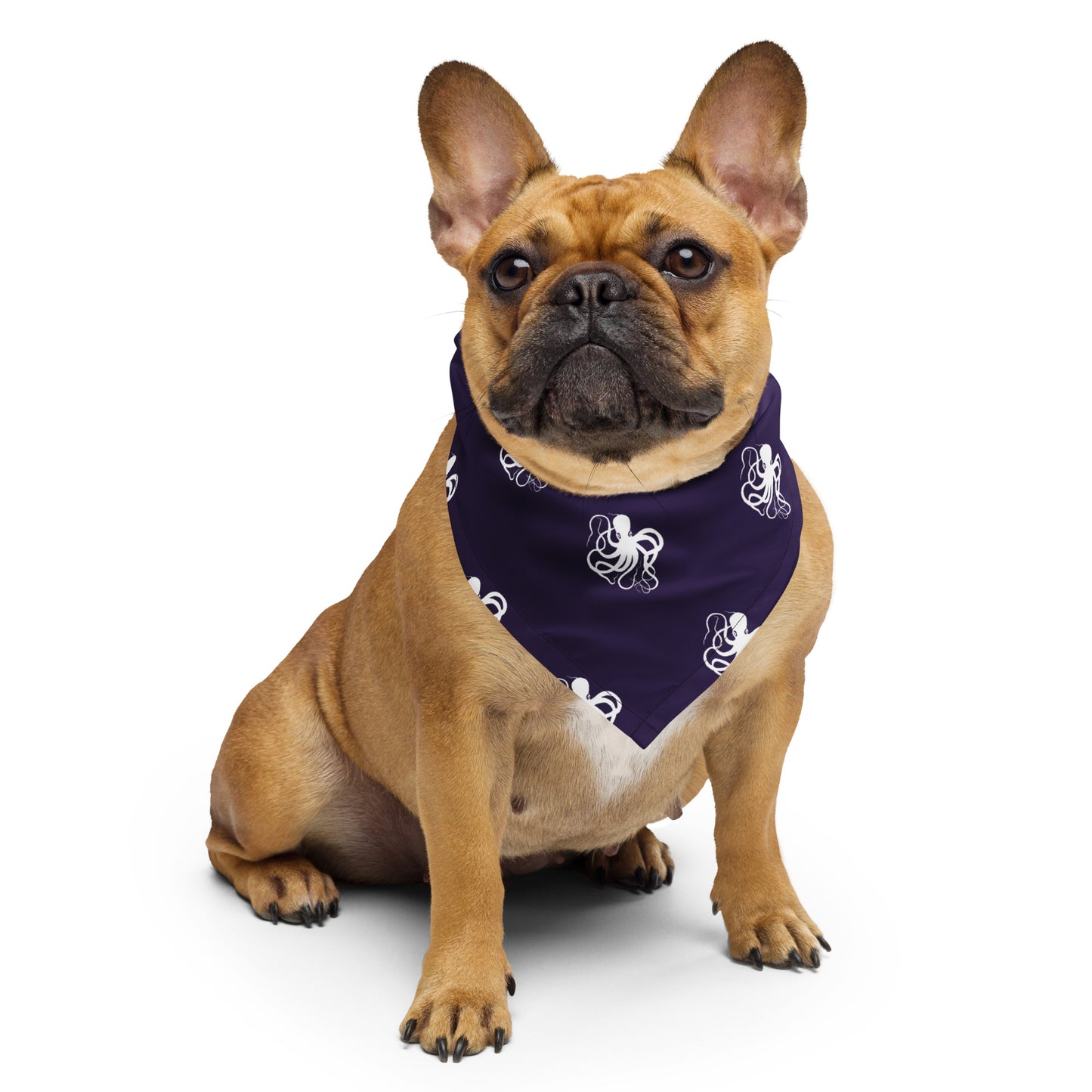 Playful Octopus Bandana